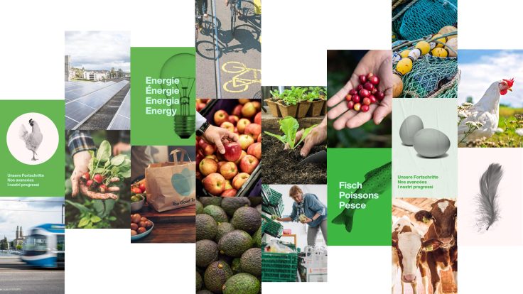 Images collage on the subject of sustainability, food and nature