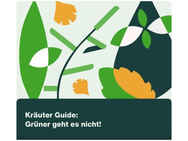 Herbs Guide Illustration