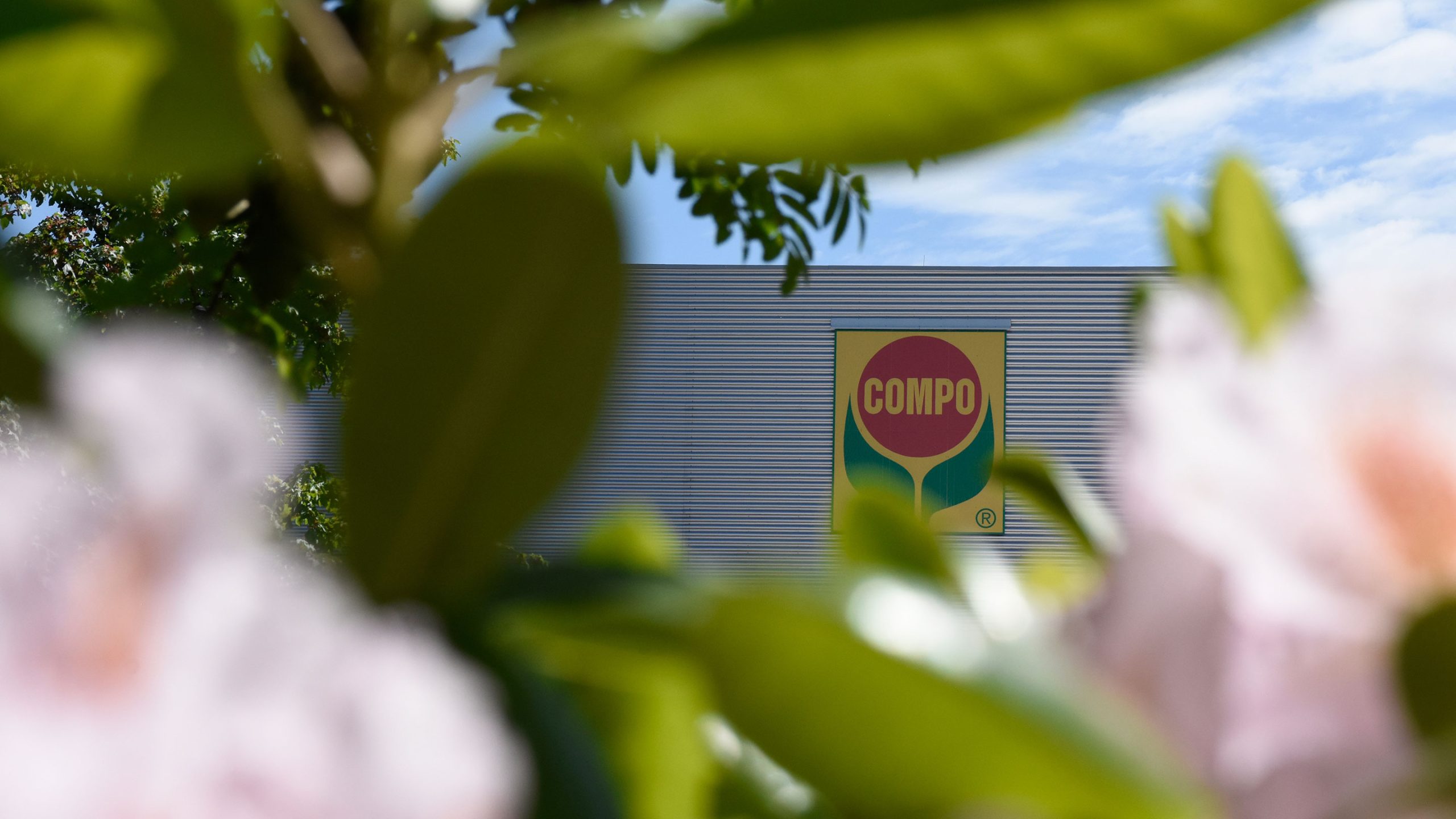 Compo Logo
